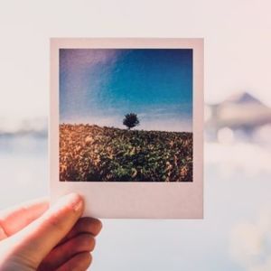 Meet your Posher, Renae